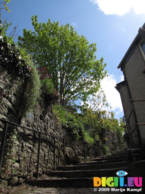 SX06021 King Charles steps Brecon